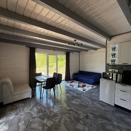 וילה джерело Vygoda